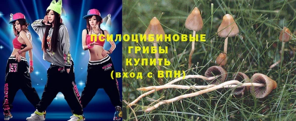 a pvp Алексин